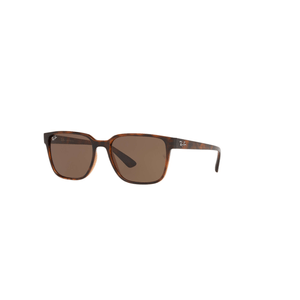 ÓCULOS DE SOL RAYBAN 4339L 710/13 56