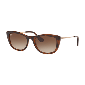 ÓCULOS DE SOL RAYBAN 4327L 623813 54