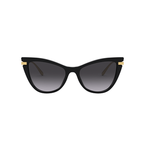 ÓCULOS DE SOL DOLCE & GABBANA 4381 501/8G 54