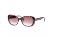 DETROIT-CHIC-164_000
