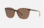 RAYBAN-4350L-71073