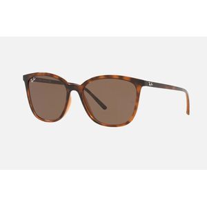 ÓCULOS DE SOL RAYBAN 4350L 71073 56