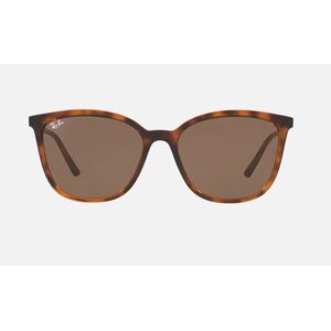 ÓCULOS DE SOL RAYBAN 4350L 71073 56