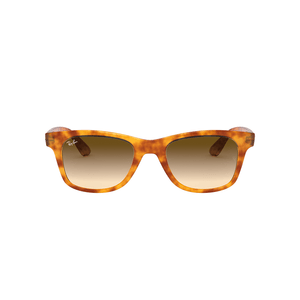 ÓCULOS DE SOL RAY-BAN 4640L 647551 50
