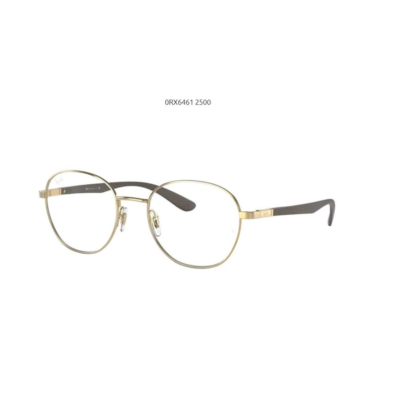 RAYBAN-6461-2500