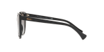 0RA5249__500111_090A