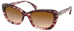 ralph-5264-584513