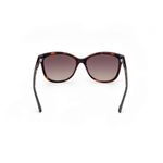 guess-gu-7828-52f-dark-havana-889214308252-550x550-0
