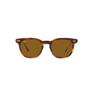 ÓCULOS DE SOL RAY-BAN 2298 954/33 52