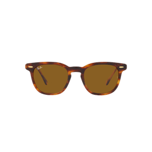 ÓCULOS DE SOL RAYBAN 2298 954/33 52