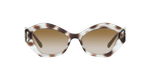 0AR8144__588113_000A