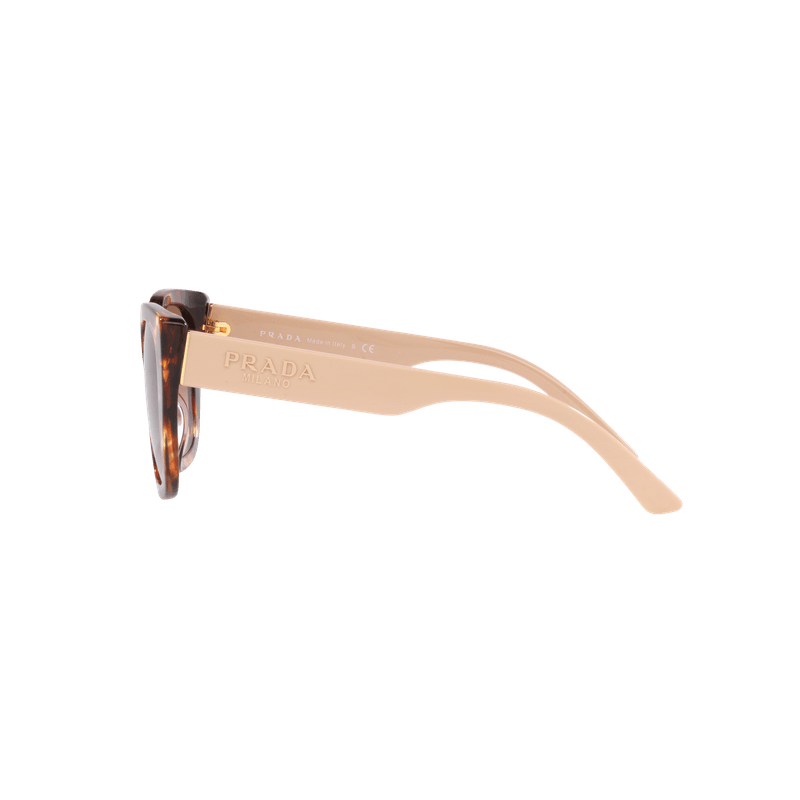 0PR_24XS__07R0A6_090A