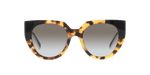 0PR_14WS__01M0A7_000A