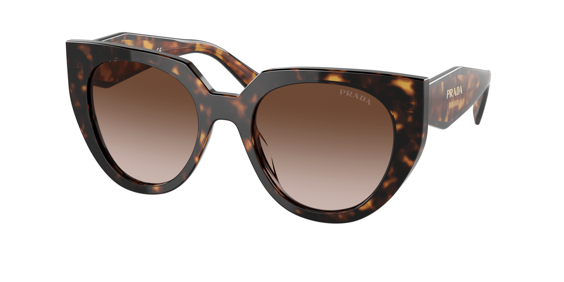 Marrom/Preto havana