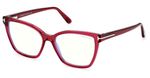 Tom-Ford-FT5812-B-074
