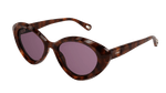 Chloe-CH-0050S-Sunglasses_005---HAVANA