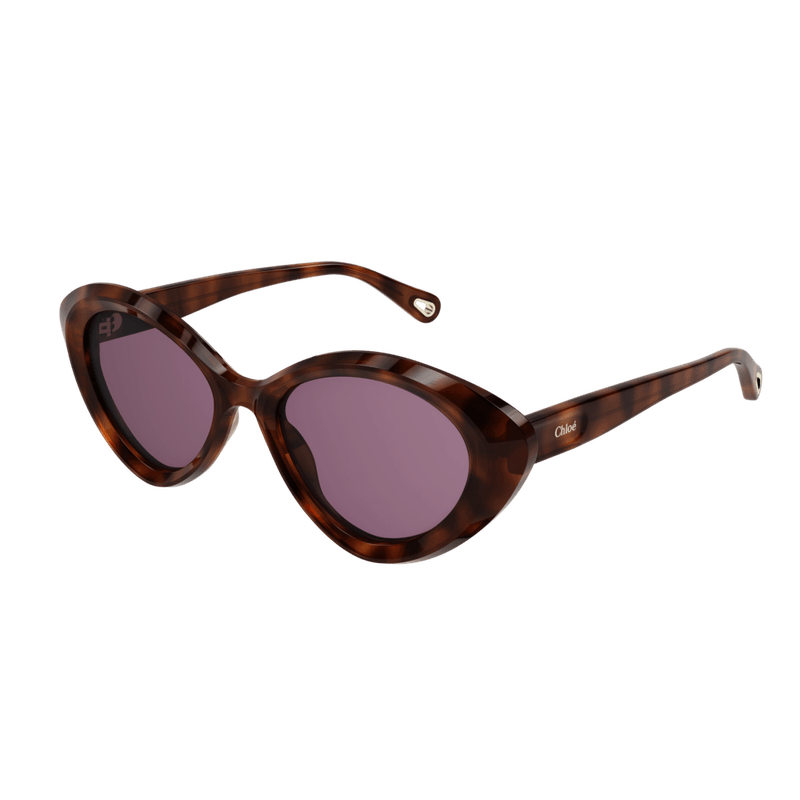 Chloe-CH-0050S-Sunglasses_005---HAVANA