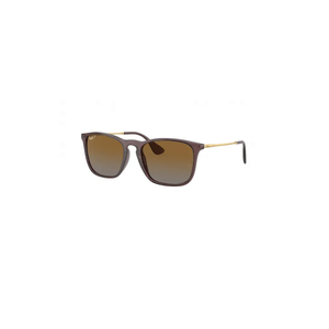 ÓCULOS DE SOL RAY-BAN 4187/POLAR 6593T5