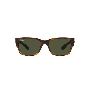 ÓCULOS DE SOL RAY-BAN 4388 710/31