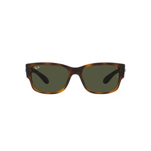 ÓCULOS DE SOL RAYBAN 4388 710/31