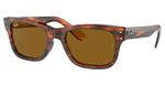Ray-Ban-RB2283-954-33