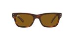 Ray-Ban-RB2283-954-33-d000