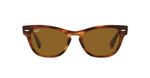Ray-Ban-RB2201-954-33-d000