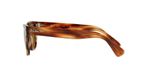 Ray-Ban-RB2201-954-33-d090