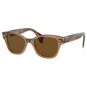 ÓCULOS DE SOL RAYBAN 0880S/POLAR 664057