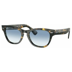 ÓCULOS DE SOL RAYBAN 2201 13323F 54