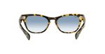 Ray-Ban-RB2201-13323F-d180