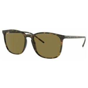 ÓCULOS DE SOL RAY-BAN 4387 710/73 56