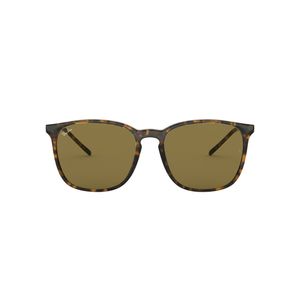 ÓCULOS DE SOL RAY-BAN 4387 710/73 56