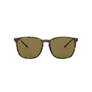 ÓCULOS DE SOL RAYBAN 4387 710/73 56