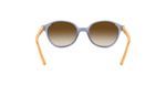Vogue-Eyewear-VJ2007-283713-d180
