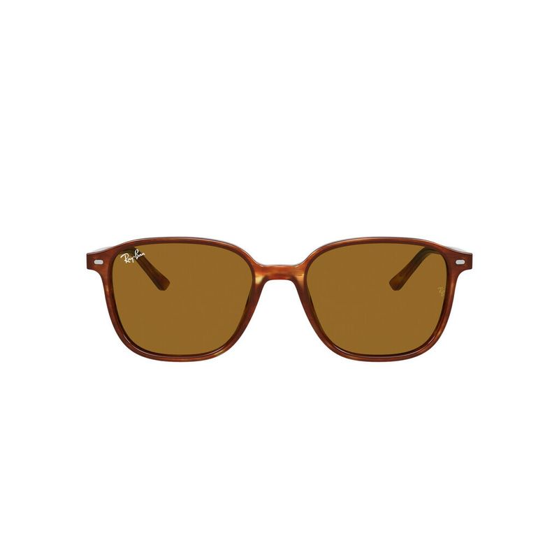 Ray-Ban-RB2193-954-33-d000