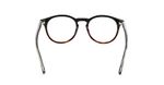Web-Eyewear-WE5387-056-d180