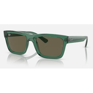 ÓCULOS DE SOL RAY-BAN 4396 6681/3
