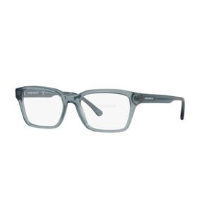 EMPORIO ARMANI 3192 5911
