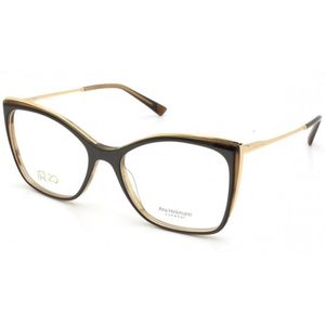 ÓCULOS DE GRAU ANA HICKMANN 6384N G01 54