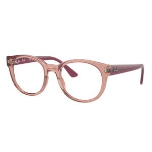 RAY-BAN 7227 8314