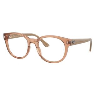 RAY-BAN 7227 8313