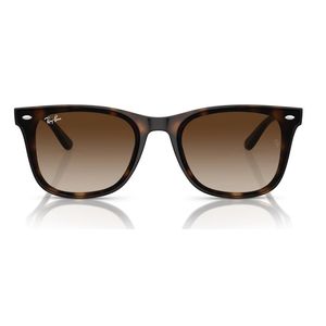 ÓCULOS DE SOL RAYBAN 4420 710/13