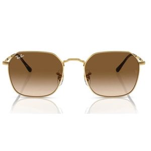 ÓCULOS DE SOL RAYBAN 3694 001/51