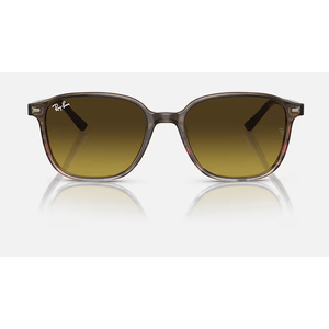 ÓCULOS DE SOL RAY-BAN 2193 138085