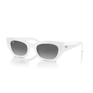 ÓCULOS DE SOL RAY-BAN ZENA 4430 675911