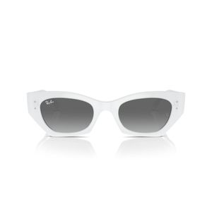 ÓCULOS DE SOL RAY-BAN ZENA 4430 675911