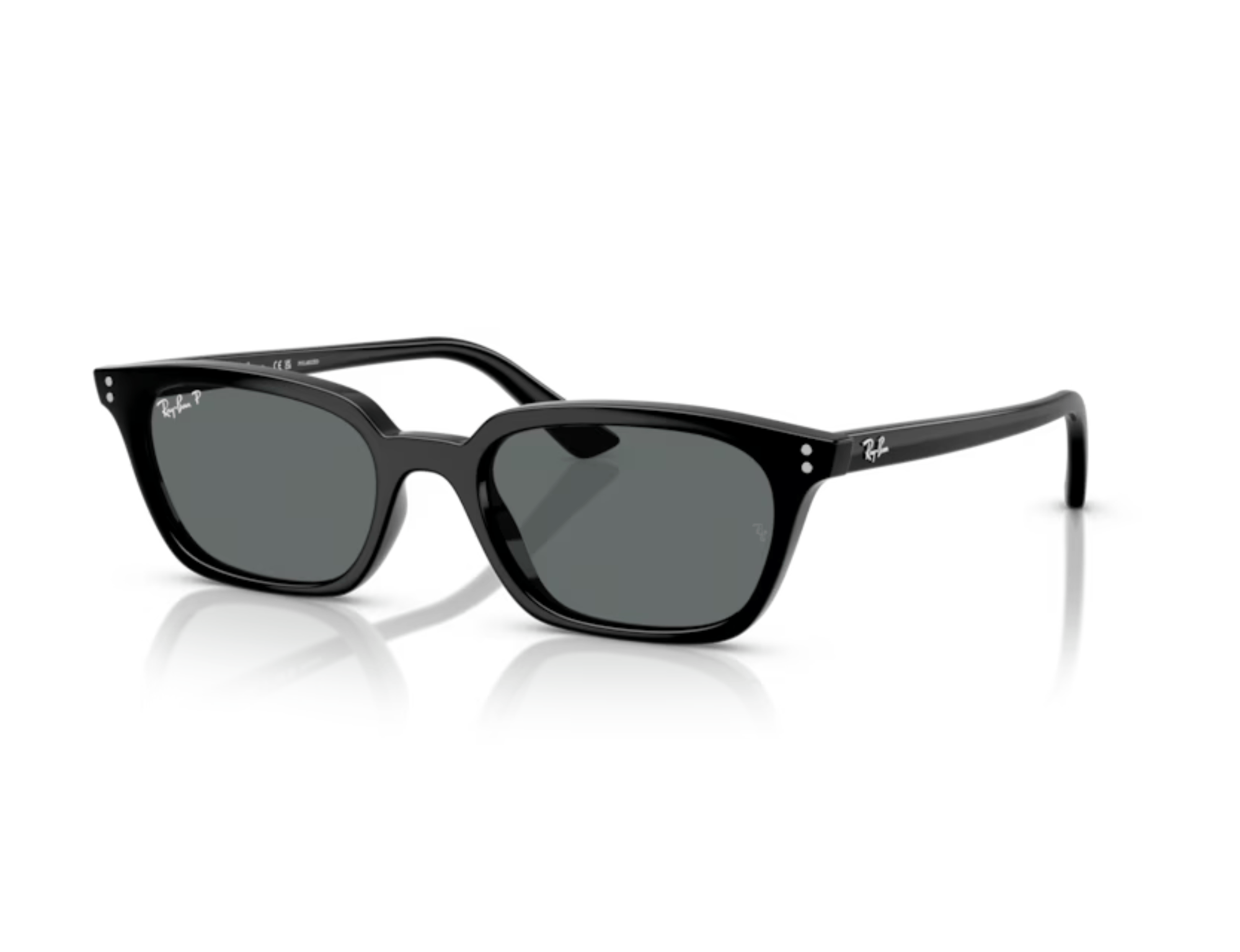 RAY-BAN ZAYA 4456/POLAR 667781