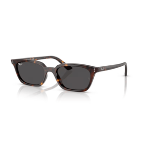 ÓCULOS DE SOL RAY-BAN ZAYA 4456 135987