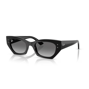 ÓCULOS DE SOL RAY-BAN ZENA 4430 667711